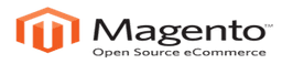 Magento Partners