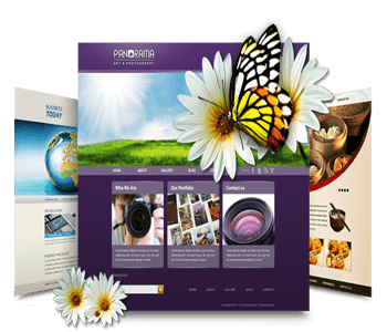 web-designing